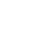 logo torres